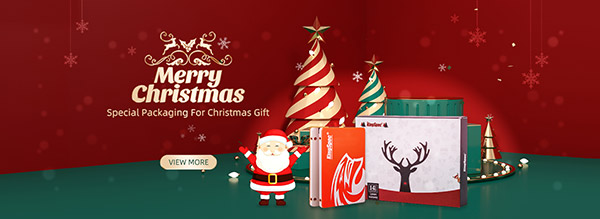 Celebration Of Christmas With Our Esteemed Customers Celebration Of Christmas With Our Esteemed Customers