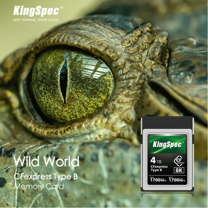 KingSpec Unveils the CFexpress Type B 4TB: Unleashing Professional Creativity Without Limits