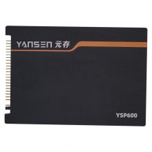 PATA  (YSP600E）