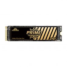 PCIe 5.0 X500 Series