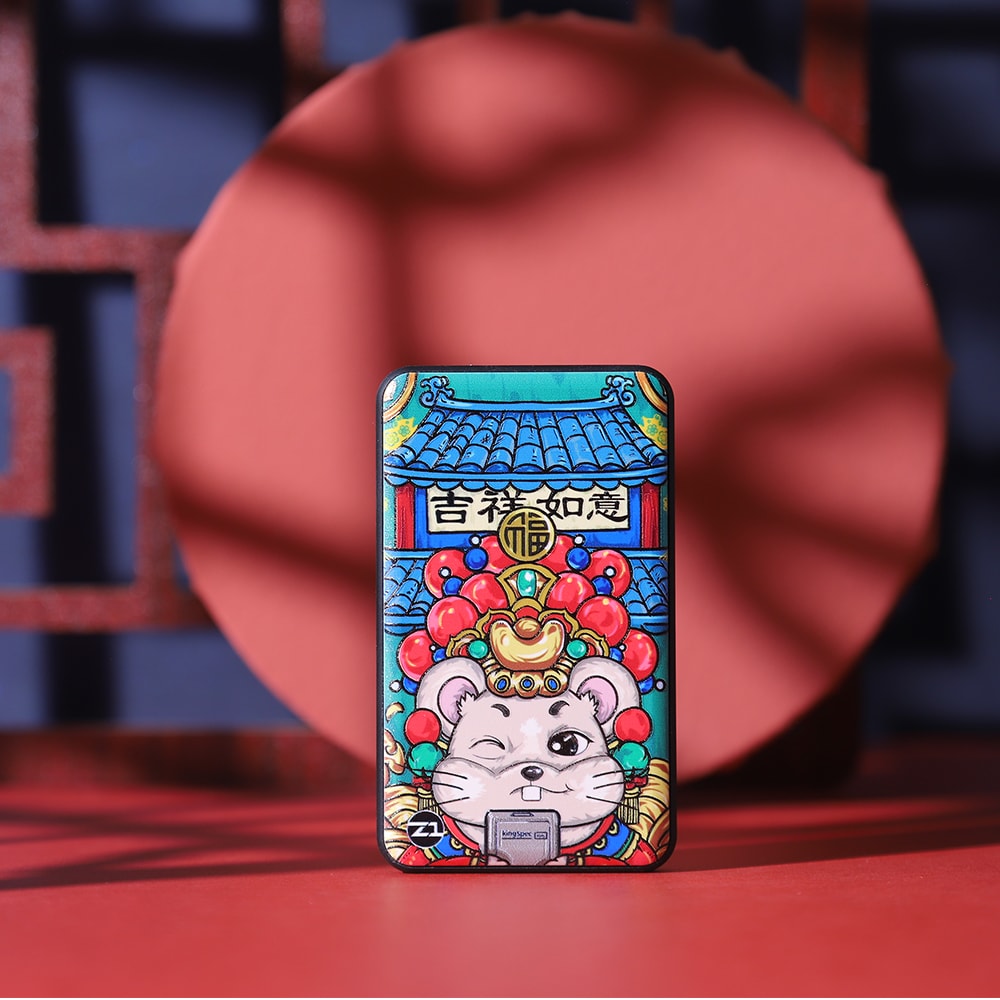 Z1 Portable SSD - KingSpec