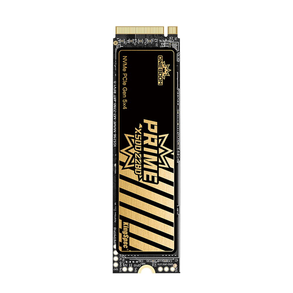 Serie PCIe 5.0 X500