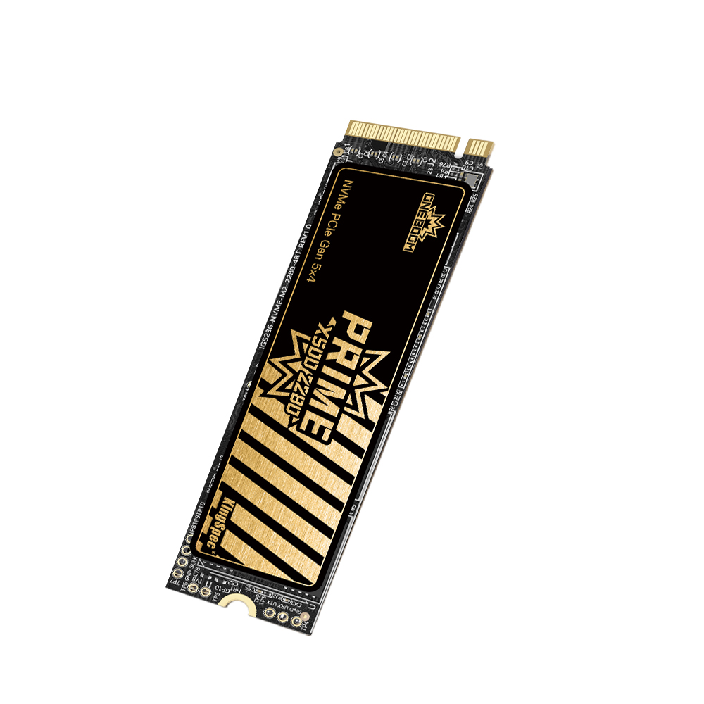 Serie PCIe 5.0 X500